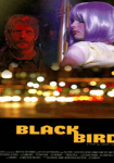 Blackbird