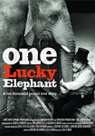 One Lucky Elephant