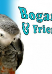 Bogart & Friends